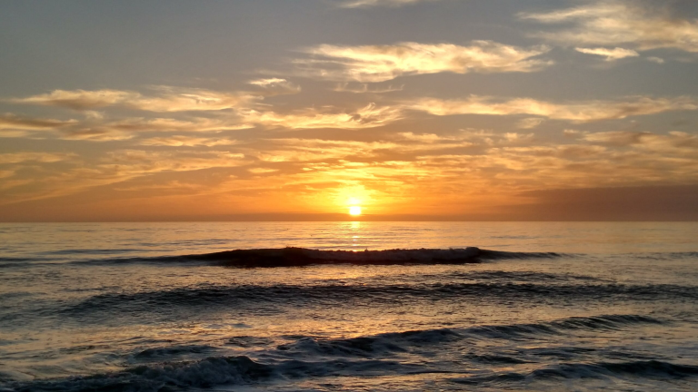 Stan Whipp-Digital Media Consultant | Empowering Non-Profits