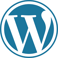 WordPress Website Consultant