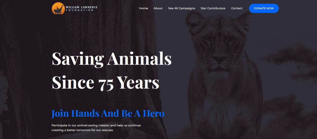 Web Design Non-Profit